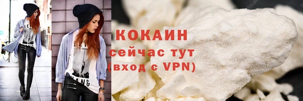 шишки Богородск