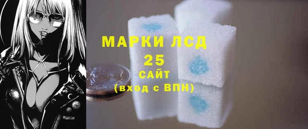 шишки Богородск