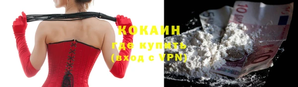 шишки Богородск