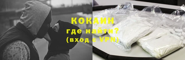 дживик Богданович