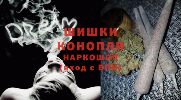 шишки Богородск