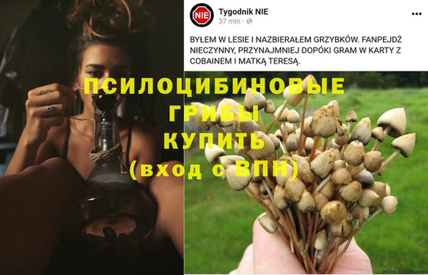 дживик Богданович