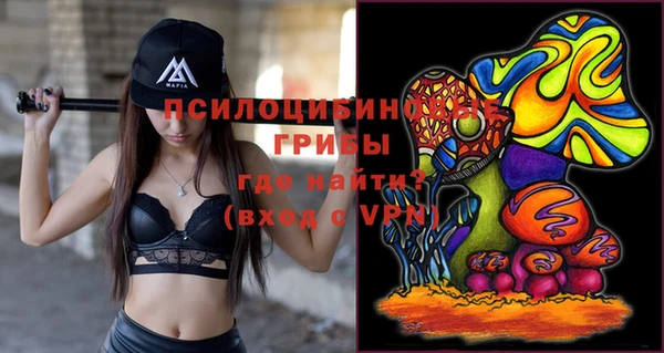 шишки Богородск