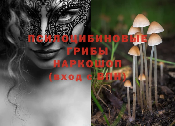 шишки Богородск