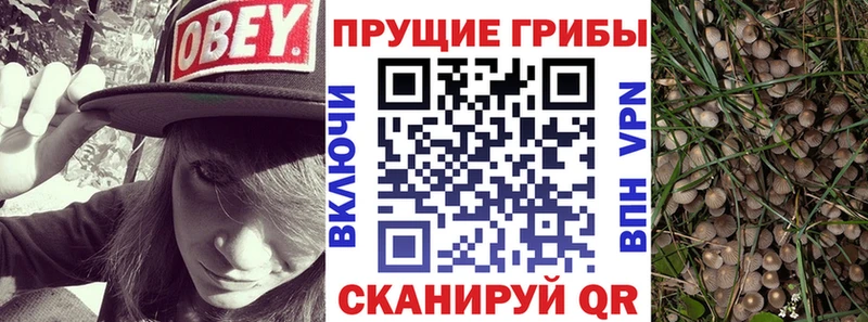 Псилоцибиновые грибы Magic Shrooms  Красавино 