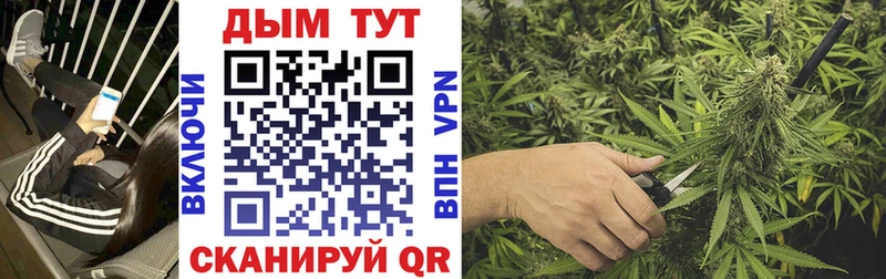 Бошки марихуана семена  mega маркетплейс  Красавино 